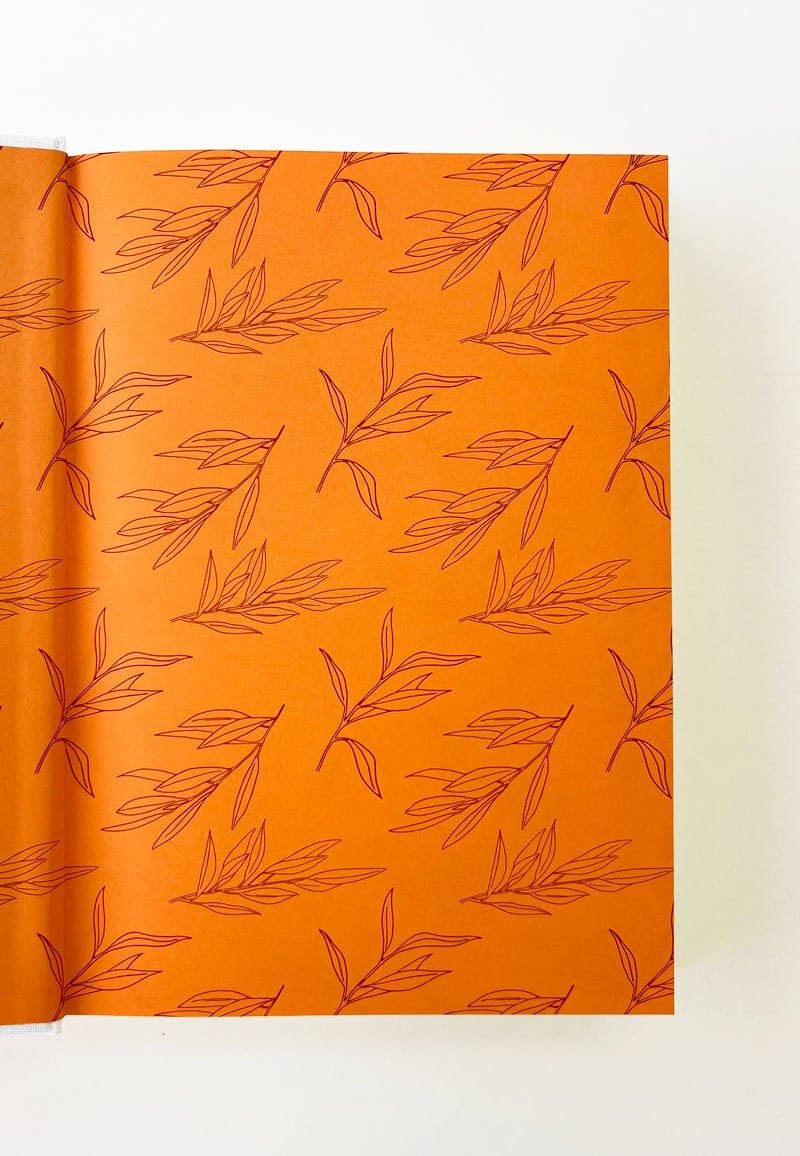 El libro Secreto de Jeshua, edición de colección.