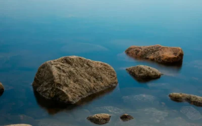 Cálculos renales y emociones: descubre cómo liberarte del dolor